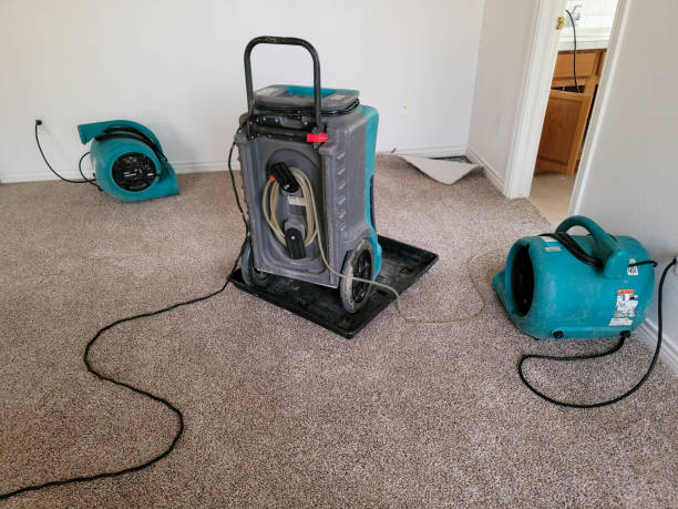 Best Local water damage restoration  in Mountain Lakes, NJ