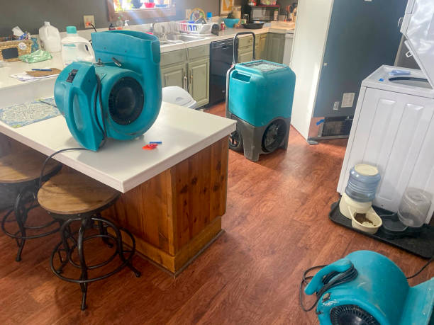 Water damage restoration experts in NJ