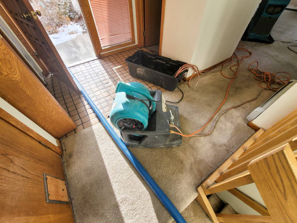  Mountain Lakes, NJ Water damage restoration Pros