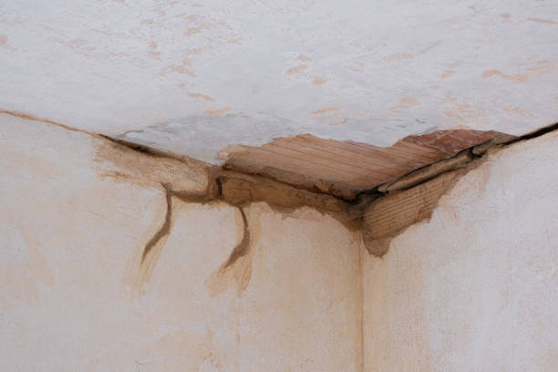 Best Ceiling water damage repair  in Mountain Lakes, NJ
