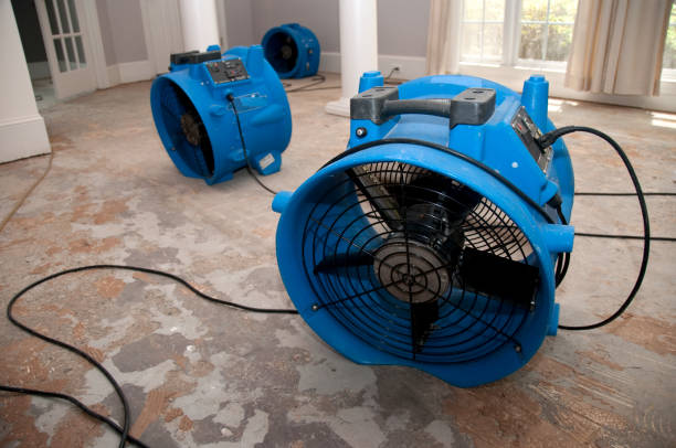 Best Residential water damage restoration  in Mountain Lakes, NJ