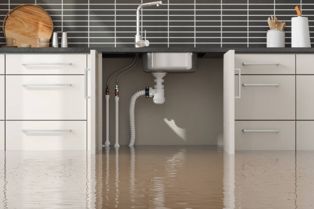 Best Ceiling water damage repair  in Mountain Lakes, NJ