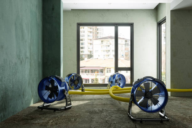 Best Commercial water damage restoration  in Mountain Lakes, NJ