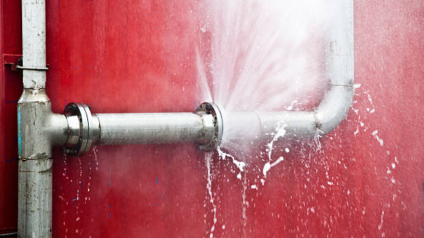 Best Water damage contractors near me  in Mountain Lakes, NJ
